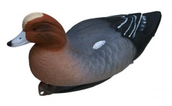 Flambeau Eurasian Wigeon Duck Decoys - Pack of 6